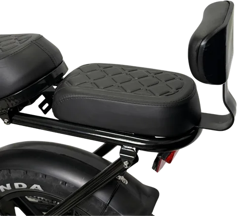Selle passager du fatbike avec son dossier
